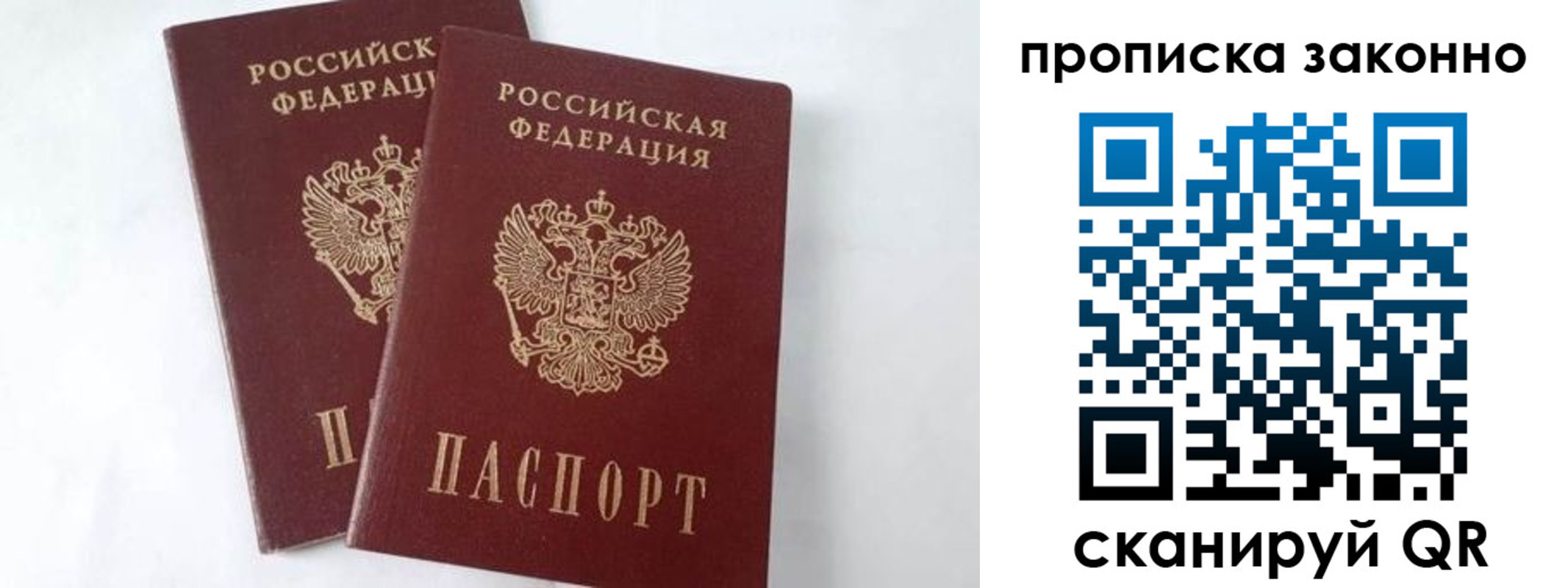прописка в Химках